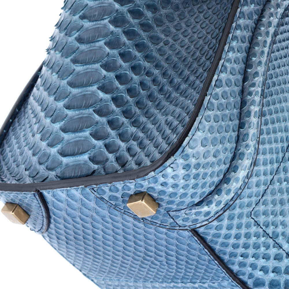 Celine Micro Luggage Bag Python - image 7